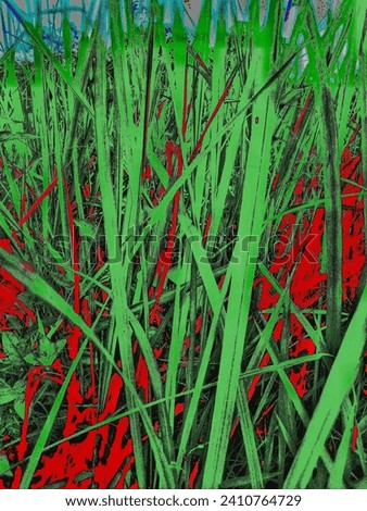 Abstract image of plants for art