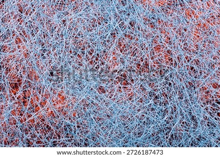Abstract image of a plurality of intertwined threads
