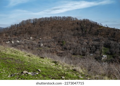 Abstract image. Slopes and mountain covered with trees without foliage. Early spring. - Shutterstock ID 2273047715