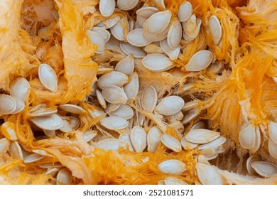 An abstract image of the texture of the inside of a carved pumpkin. 