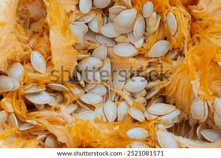 An abstract image of the texture of the inside of a carved pumpkin. 