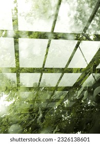Abstract image of tree reflections.