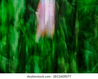 Abstract intentional camera movement motion blur green grass background