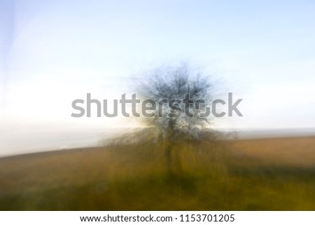 Similar – Foto Bild schräger Baum Winter