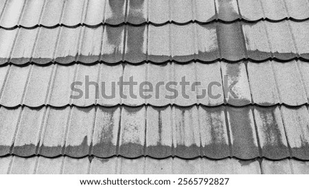 The abstract interplay of light and shadow highlights the wet streaks left by recent rain on a patterned tile roof, creating a textured monochrome scene
