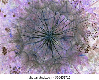 Abstract inverted image of a dandelion seed head (dandelion clock)