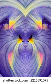 Abstract Iris Flowers Stock Image.