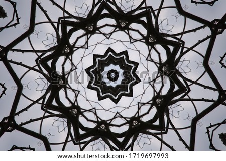 Abstract kaleidoscopic web pattern made from a  tree and its branches interwoven, expanded and beautiful in its design.