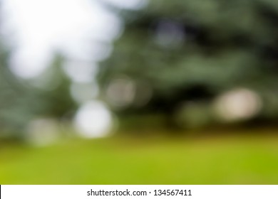 Abstract Landscape Background Of Day Time Blurred Tree With Bokeh Effect