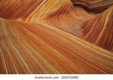 Abstract landscape of convoluted sandstone, Coyote Buttes Paria Canyon-Vermillion Cliffs Wilderness Area, Arizona, USA