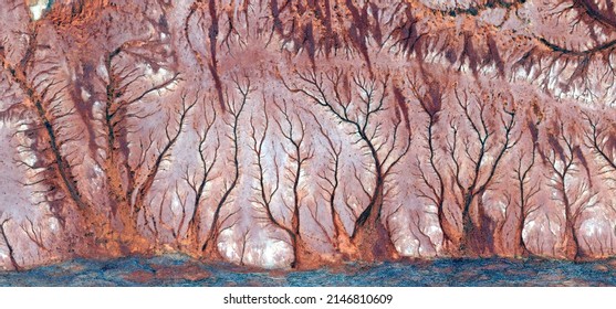 Abstract Landscape Of The Deserts Of Africa From The Air Emulating The Shapes And Colors Of The Dystopian Forest, Genre: Abstract Naturalism, From The Abstract To The Figurative