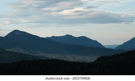 Abstract Lanscape Of The Mountains Coated By The Pine Forest