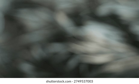 Abstract leaf bokeh pattern with soft sunlight, environmental concept background