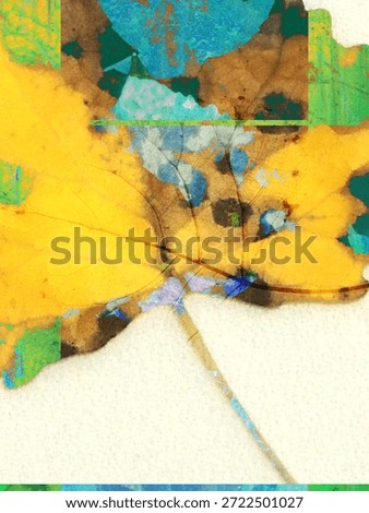 An abstract leaf with different patterns and colors and shapes.
