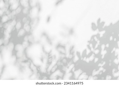 Abstract leaf shadow and light blurred background. Natural leaves tree branch shadows and sunlight dappled on white concrete wall texture for background wallpaper and design, shadow overlay effect - Shutterstock ID 2341164975