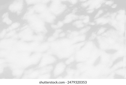 Abstractas sombra la hoja