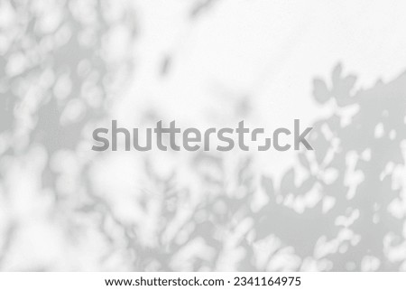 Abstract leaf shadow and light blurred background. Natural leaves tree branch shadows and sunlight dappled on white concrete wall texture for background wallpaper and design, shadow overlay effect