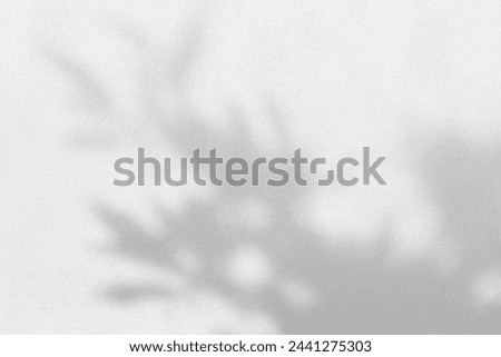 Abstract leaf shadow and light blurred background. Natural tropical plant leaves tree branch shadows sunlight on white wall texture for shadows overlay effect foliage mockup wallpaper and design