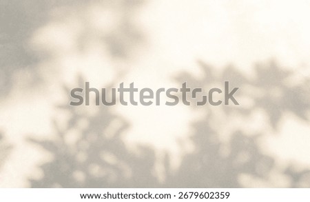 Abstract leaf shadow and light blurred background. Natural leaves tree branch shadows and sunlight dappled on white concrete wall texture for background wallpaper and design, shadow overlay effect