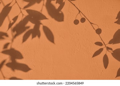 Abstract Leaves And Berries Shadows On Light Brown Concrete Wall Texture. Abstract Trendy Earth Tones Colored Nature Concept Background. Copy Space For Text Overlay, Poster Mockup Flat Lay 