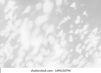 Abstract leaves gray shadow background with light bokeh, natural leaves tree branch falling on white concrete wall texture for background and wallpaper, monochrome, nature shadows art on wall 