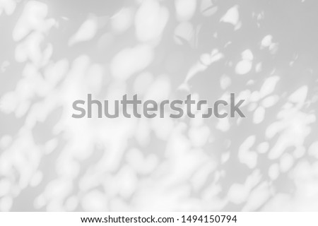 Abstract leaves gray shadow background with light bokeh, natural leaves tree branch falling on white concrete wall texture for background and wallpaper, monochrome, nature shadows art on wall 