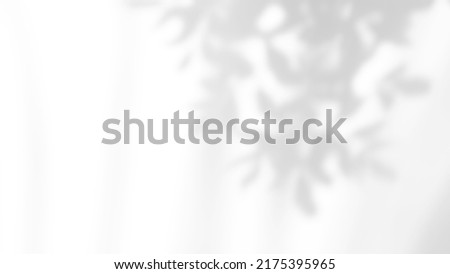 Abstract leaves natural shadow overlay on white texture background, for overlay on product presentation, backdrop and mockup