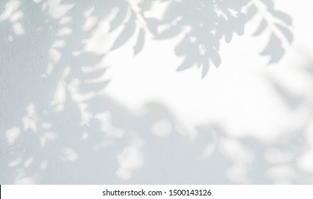 Abstract leaves shadow background, natural leaves tree branch on white concrete wall texture for background and wallpaper, black and white, monochrome,  nature art shadow on wall
