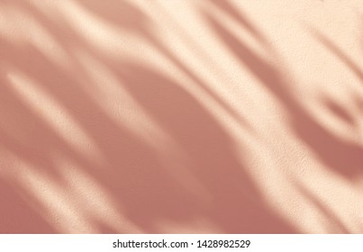 Abstract leaves shadow background on concrete wall texture for background and wallpaper, nature art on wall, rose gold  shadow background - Shutterstock ID 1428982529