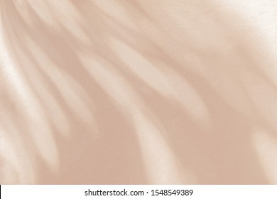 Abstract leaves shadow blurred background. Natural leaves tree branch foliage beige shadows and sunlight dappled on white concrete wall texture in garden for background wallpaper and any design