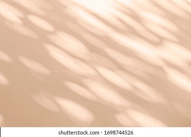 Abstract Leaves Shadow Blurred Background. Natural Leaves Tree Branch Foliage Pink Rose Gold Diagonally Shadows And Sunlight On White Wall In Nature For Background Wallpaper And Any Design
