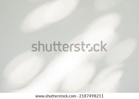 Abstract leaves shadow and light blurred background with light bokeh, natural leaves tree branch on white wall. Shadow overlay effect for foliage mockup, banner graphic layout