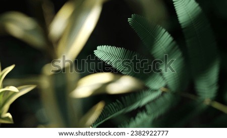 Abstract leaves, the vibrant green leaves stand out against a soft, blurred background, creating a sense of depth and mystery