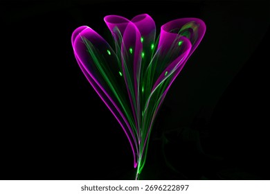 Abstract light form creating the shape of a flower made of luminous trails with selective focus, evoking a futuristic and ethereal feel. Abstract flower lights.