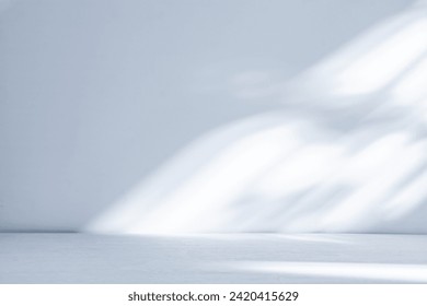 Abstract Light And Shadow Patterns on a Blank White Background.
