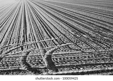 Abstract Lines Field Pattern Stock Photo 100059425 | Shutterstock