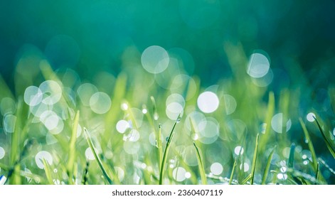 Abstract lush green grass on meadow with drops of water dew in morning light in spring summer outdoors closeup panoramic macro. Beautiful artistic photo purity freshness of majestic nature, copy space - Powered by Shutterstock