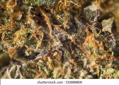 Abstract macro detail of cannabis bud from "rockstar kush" marijuana strain with visible hairs and trichomes
