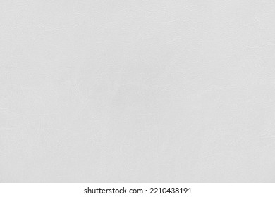 Abstract Macro Photography Of White Wall Background