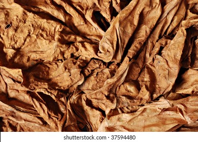 Abstract Macro Of Sunlit Tobacco Leaf During Curing Process.