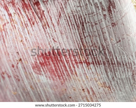 Abstract macro texture of weathered red painted wood with distressed white peeling layers. Gritty rustic background featuring organic scratches and vintage industrial erosion for creative design.