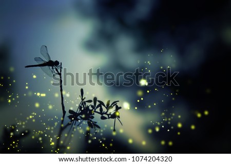 Abstract and magical image of dragonfly silhouette and Firefly flying in the night forest. Fairy tale concept