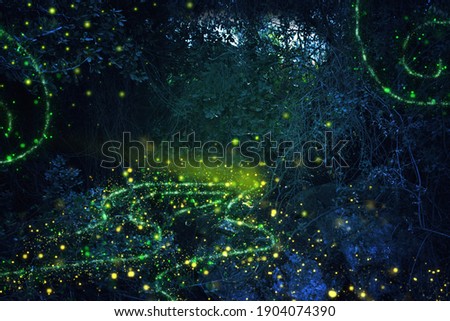 Abstract and magical image of Firefly flying in the night forest. Fairy tale concept