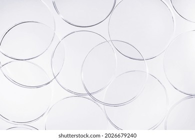 Abstract medical or cosmetics science background with petri dishes. Abstract laboratory petri dishes background. 