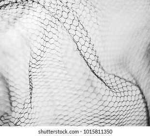 abstract mesh background
