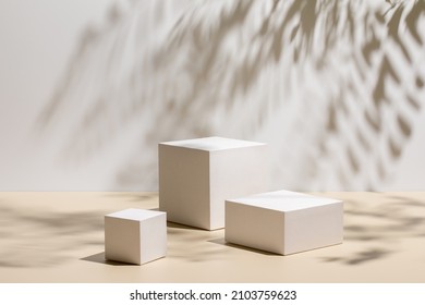 Abstract minimal nature scene - empty stage with three white rectangle podiums on beige background and shadows of tree leaves. Pedestal for cosmetic product and packaging mockups display presentation