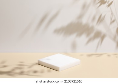 Abstract minimal nature scene - empty stage and square podium on beige background and soft shadows of grass. Pedestal for cosmetic product and packaging mockups display presentation