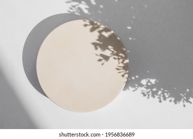 Abstract minimal scene with geometrical form. Cylinder podium on white background with floral shadow. Abstract background. Scene to show cosmetic podructs. Showcase, display case. 3d render. - Shutterstock ID 1956836689