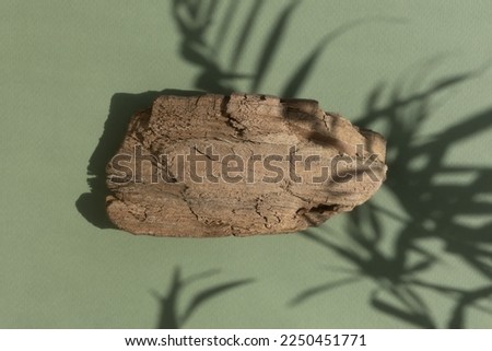 Abstract minimal tree bark scene. Natural wooden podium on a green background with a shadow of palm leaves. Concept natural cosmetics with organic components. Showcase, display case. Top view