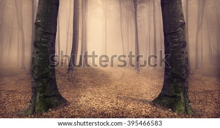 Similar – Image, Stock Photo edge of the forest Autumn